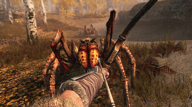 The Elder Scrolls V: Skyrim